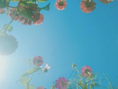 -河海大学(常州校区)