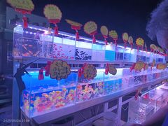 -中环花鸟鱼虫市场