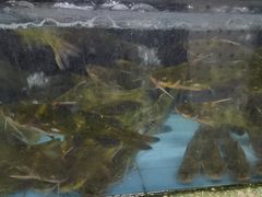 -济南海鲜大市场