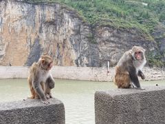 -白帝城·瞿塘峡景区