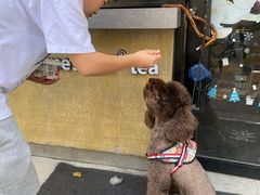 -蔡记炸酱热干面(昌里路店)