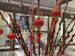 -华彬眼镜专业渐进配镜(潘家园店)