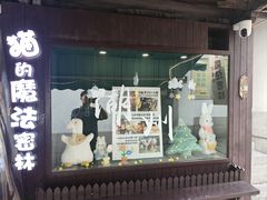 -猫的魔法密林(衣裳街店)