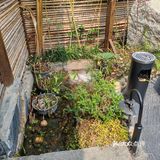 结果被街边的一家小店吸引了#小荷园乡野湖北菜