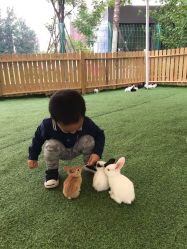 -萌宠亲子动物乐园(槐房万达店)