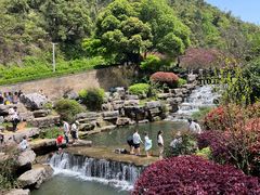 -桃花岭景区