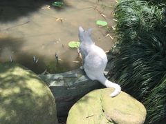 -竹吟山房