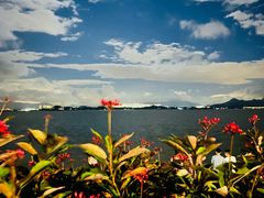 -深圳湾公园(南山区)