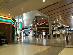 -达拉斯 沃斯堡国际机场