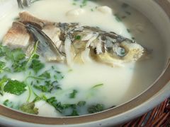 -紫藤园·天目湖大鱼头(南山竹海店)