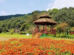 -广州市石门国家森林公园