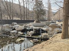 -白水寺森林公园