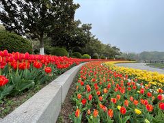 -上海鲜花港