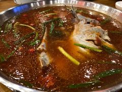 -新凯里酸汤鱼(飞山街店)