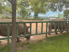 -秦皇岛野生动物园