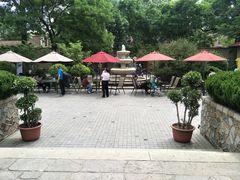 -静园(和平区)