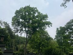 -南山风景名胜区