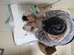 -宠颐生宠物医院·骨外科·犬猫全科诊疗中心(池州店)