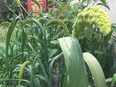 -金台阶鱼馆(于桥水库店)