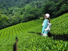 -敬亭山风景名胜区