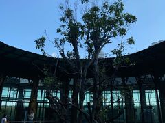 -The Ring Pavilion 魔幻森林