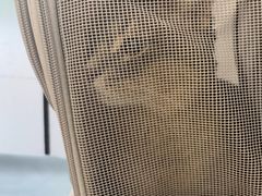 -中农国际动物医院24小时·猫科·骨科·急重症中心