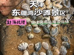 -天津东疆湾沙滩景区
