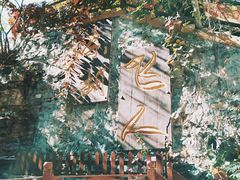 -十渡东湖港风景区