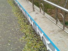 -抚顺煤矿博物馆