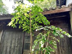-法云安缦酒店