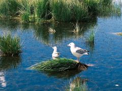 -花湖生态旅游区