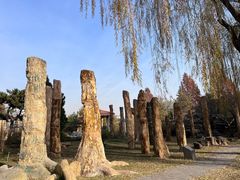 -石家庄市植物园