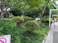 -兰溪青年公园