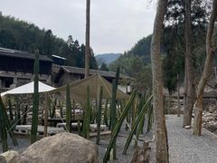 -MOJ coffee(瓯海泽雅水碓坑店)