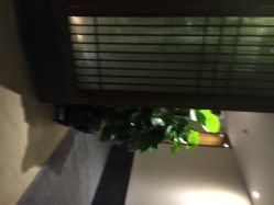 -盘子女人坊生日照·摄影馆(华强店)