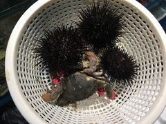 -海味当家·蒸锅海鲜(中山广场创始店)
