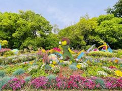 -上海共青森林公园