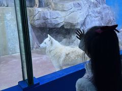 -多彩贵州城极地海洋世界