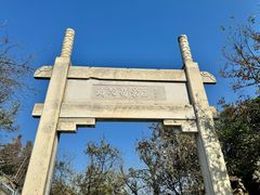 -紫金山山顶公园