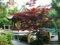 android_upload_pic-申粤轩酒楼·三十年粤菜经典(丁香花园店)