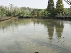 -溱湖国家湿地公园