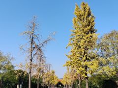 -明故宫遗址公园