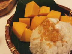 -GOGO Plate(成都太古里店)