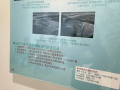 -上海交通大学医学院附属瑞金医院(总院)