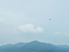 -十三陵水库