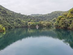 -鼎湖山风景区