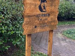 -上海崇明金茂凯悦酒店