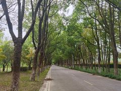 -上海鲜花港