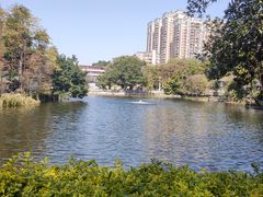 -荔湾湖公园