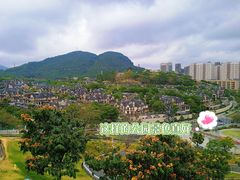 -白石龙音乐公园